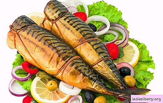 Smoked mackerel at home: on the grill, pan, aerogrill. All the secrets of smoking mackerel at home