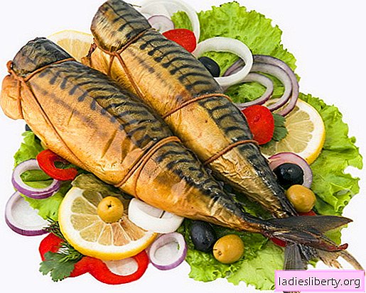 Smoking mackerel - the best recipes. How to cook smoked mackerel at home.