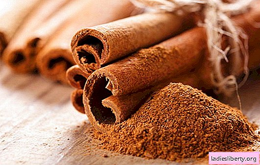 Cinnamon: the benefits and harm of favorite fragrant seasoning. The composition and use of cinnamon: its beneficial properties and harmful qualities