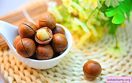 The King of Nuts - Macadamia: Benefits and Features of Eating. Why is it so important for women to include Australian walnut in their diet?