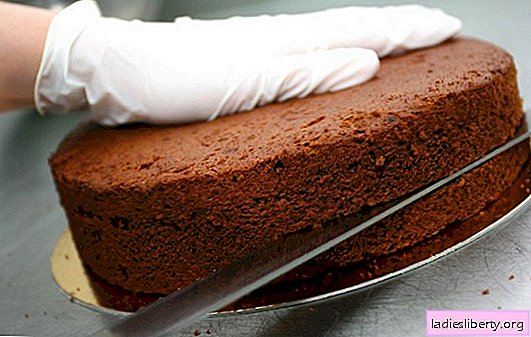 Gâteaux pour gâteaux - recettes simples à partir de pâte à biscuits, d'air et d'amandes. Couches de gâteau simples: secrets de cuisine