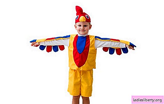 Disfraz de gallo DIY para niño - plantilla colorida. Cómo coser un hermoso disfraz de gallo para un niño con tus propias manos