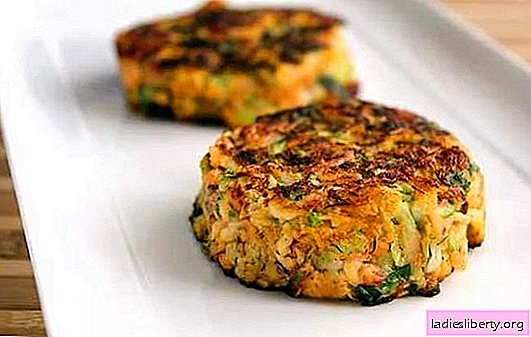 Zucchini and minced meat patties: a quick recipe for dinner! Quick recipes for zucchini and minced meat patties in a pan, in the oven and in a double boiler