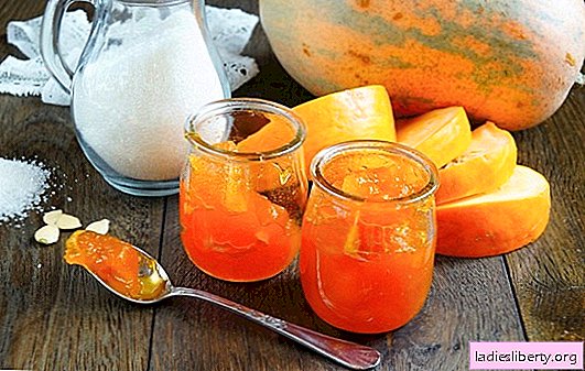 Colorful homemade pumpkin blanks - from simple to complex. A variety of recipes and subtleties of homemade pumpkin blanks