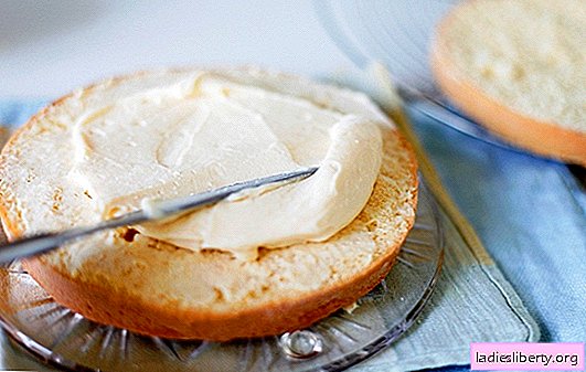 كريمة الجبن المنزلية - وعلى الكعكة ، وعلى الخبز! وصفات لكريمات الجبن الرائب الحلو والمالح للحلويات والوجبات الخفيفة