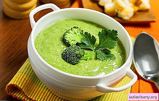 Crema de brócoli: recetas de dieta y nutrición básica. Una variedad de recetas de sopa de crema de simple a complejo de brócoli