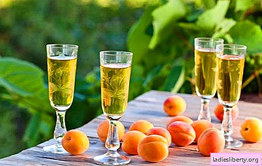 Starka och söta aprikosdrycker hemma. Reglerna för jäsning och tinkturer av alkoholhaltiga drycker från aprikoser