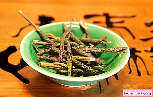 Kudin - the benefits of herbal tea with a rare taste. How to cook and consume kudin