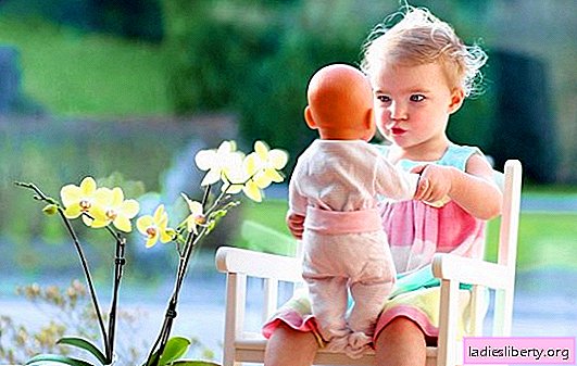 Dolls: energy hazard for a child