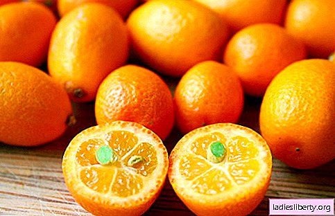 Kumquat - nyttige egenskaber og applikationer i madlavning. Kumquat opskrifter.