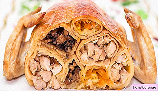 Stuffed Chicken - The best recipes. How to cook stuffed chicken in the oven.