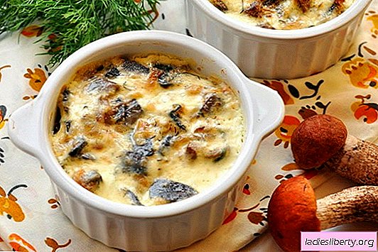 Chicken with mushrooms in a pot in the oven - tender meat with mushroom flavor. Recipe chicken with mushrooms in pots for every taste