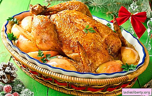 Kylling med epler i ovnen - dette er ikke en vits for deg! Oppskrifter av velduftende kylling med epler i ovnen: hele og skiver