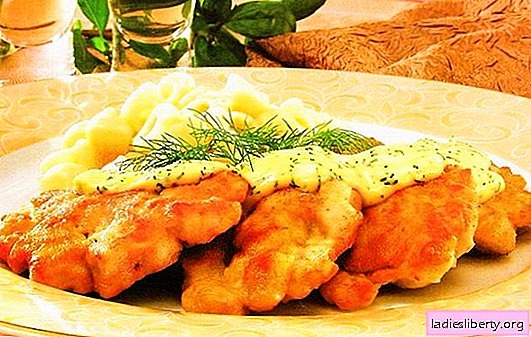 Dada ayam dengan wortel - hidangan pemakanan yang indah. Resipi untuk dada ayam dengan wortel: roll, panggang, salad, bakso