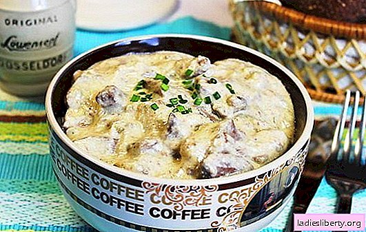Chicken liver in sour cream: with onions, in a Stroganoff style, with cheese sauce. Low cost and delicious dishes from chicken liver in sour cream