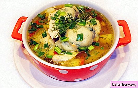 Sup ayam dengan pangsit - hidangan sejak kecil! Resep asli untuk membuat sup ayam dengan semolina atau pangsit tepung
