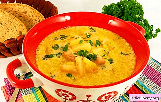 Cream Cheese Chicken Soup - Creamy Flavored First Course. Best Cream Cheese Soup Recipes