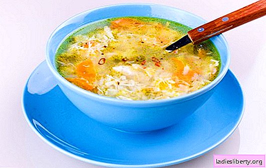 Soupe de poulet avec du riz - utiliser dans chaque cuillère. Recettes pour soupe au poulet avec du riz: régime, enfants, vitamines, tous les jours