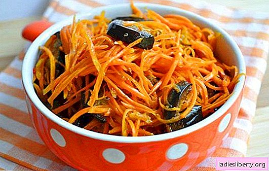 Pickled eggplant with carrots for the winter is a healthy snack. How to ferment eggplant with carrots for the winter - a selection of the best preparations