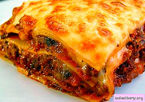 Lavash Lasagna - õiged retseptid. Kuidas kiiresti ja maitsvat pitsast lasanjet küpsetada.