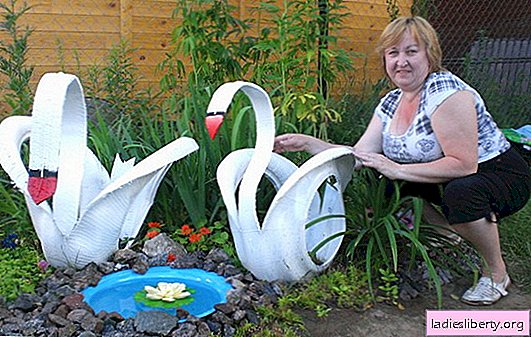 DIY labodi iz pnevmatike - neverjetna dekoracija za vrt! Podroben mojstrski razred: samostojni labodi