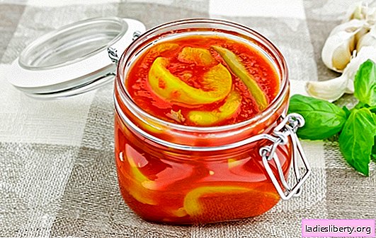 Lecho zonder tomaten - en het gebeurt! Een selectie recepten zonder tomatenlecho met marinades, sauzen en tomatenvullingen