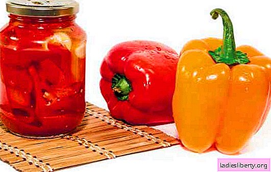 Lecho without vinegar - healthy food at any time of the year. Proven recipes for delicious lecho without vinegar