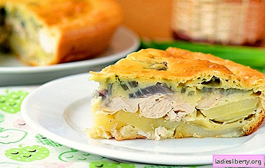 كسول كورنيك هو كعكة سريعة. دجاج كسول على عجينة الجبن المنزلية أو الكريما الحامضة أو الكفير مع الدجاج واللحم المفروم والجبن والبطاطا
