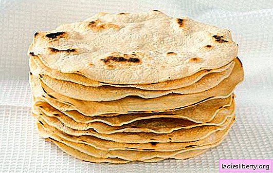 Tortilla cake - a delicious dish for every day. Options for making tortilla cakes with cheese, nuts, honey and spices