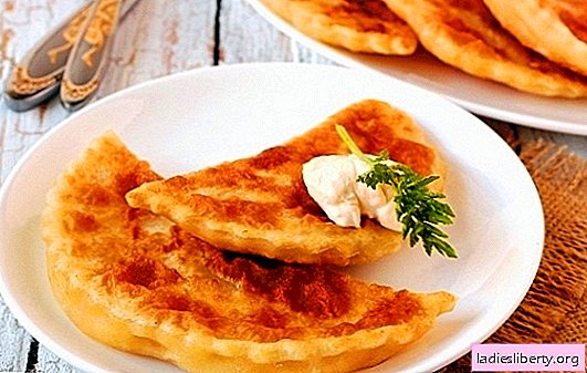 Tortillas con queso y hierbas en una sartén: el salvavidas de la amante. Una selección de recetas de tortillas con queso y hierbas.