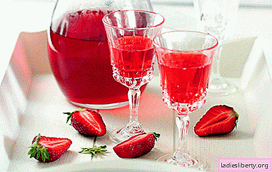 Licor de fresa en casa - ¡fuera de competencia! Todas las sutilezas y recetas para hacer licor de fresas en casa