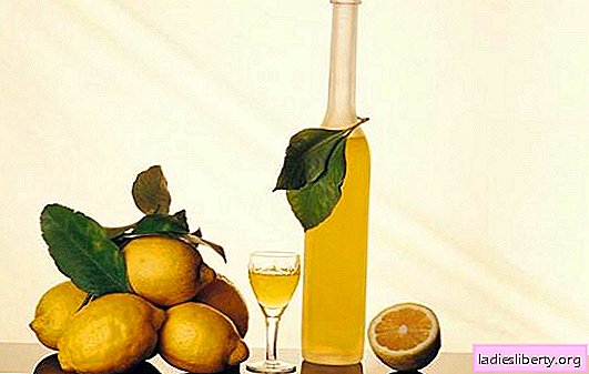 Tintura de limón y secretos de su preparación. Recetas de licor de limón para un bar casero con un refrescante aroma cítrico.