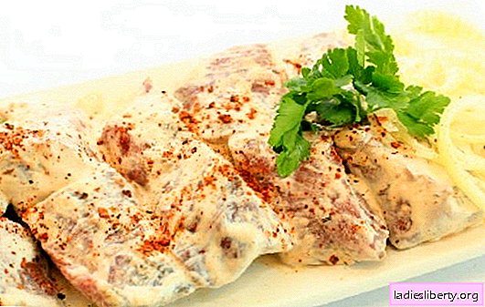 Las mejores recetas de carne tierna en mayonesa al horno. Cómo cocinar carne en mayonesa es delicioso y rápido: cerdo, ternera, pollo, conejo.