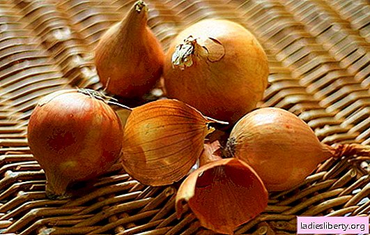Onion Husk: harmful, useful or useless thing? How zealous mistresses use onion peel for the benefit of themselves