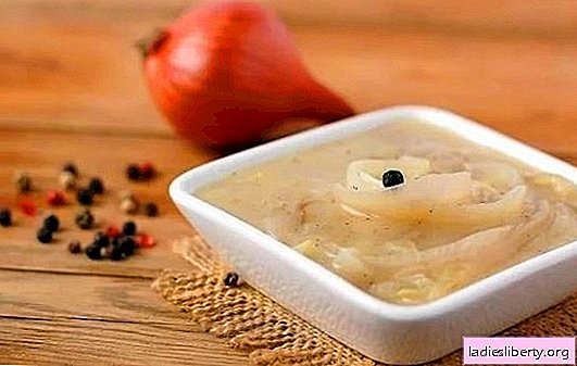 Salsa de cebolla: ¡inusualmente simple, irrealmente deliciosa! Recetas de salsas de cebolla con vino blanco y tinto, crema, tomate, crema agria, tocino