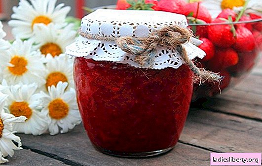 Lieblingsdessert - Erdbeeren mit Zucker: Rezepte und Geheimnisse der Ernte. Erdbeeren mit Zucker - ein köstliches Sommerrezept im Glas.