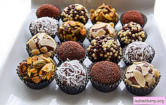 Muffins au cacao - Un festin de chocolat aéré. Les meilleures recettes de muffins au cacao avec baies, bananes, oranges