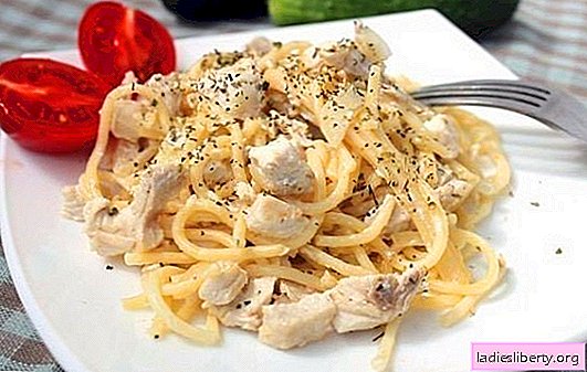 Kycklingpasta i krämig sås är perfekt för lunch eller middag. Ett urval av de bästa recepten för pasta med kyckling i en krämig sås