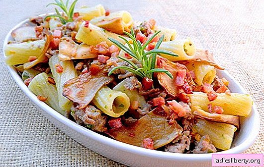 Pasta with pork in all its splendor! Baked and fried pasta and pasta recipes with pork