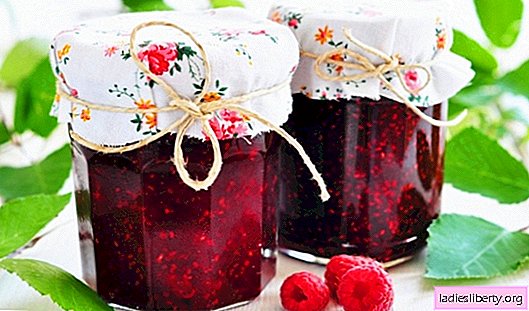 Raspberries with sugar - how to prepare healthy berries, preserving the maximum benefit. Raspberries with sugar for the winter: grated, jam, jelly, confiture