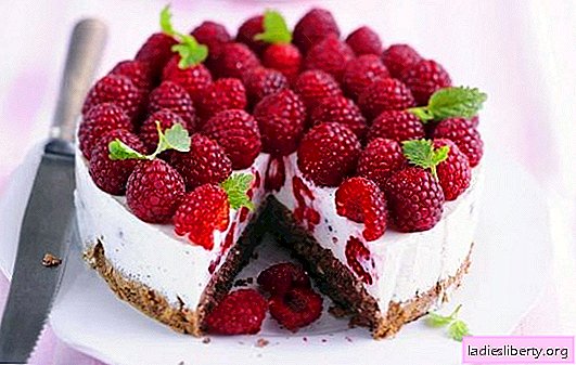 Raspberry cake is a summer temptation for the sweet tooth. Recipes of raspberry summer cakes: raspberries in the dessert - life is good!