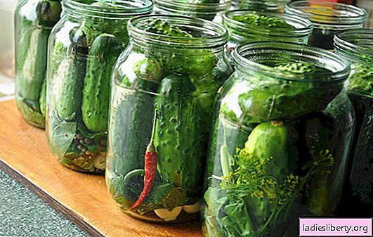 Pickled cucumbers - where without them ?. How to pickle cucumbers at home and the features of this process