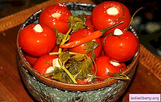 Pickled tomatoes with garlic - the most favorite snack! Recipes of pickled tomatoes with garlic: a memorable taste