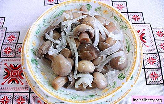 Pickled champignons at home - delicious mushrooms! How to pickle champignons at home: fast, tasty