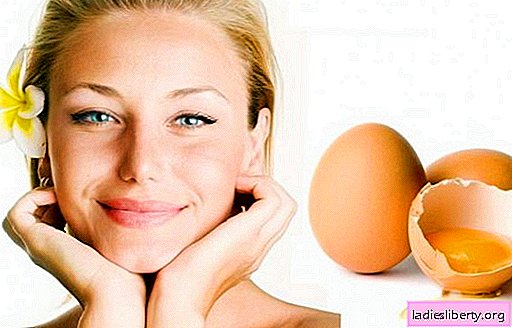 أقنعة وجه البيض هي أفضل الوصفات. كيفية جعل أقنعة البيض في المنزل.
