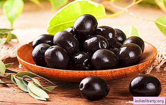 Olives: benefits for the body, use in traditional medicine. What harm can olives cause when not worth consuming?