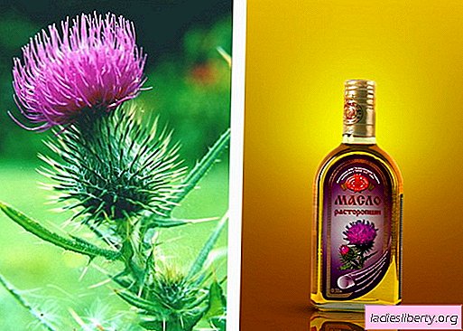 Milk thistle oil and its medicinal properties. How to apply milk thistle oil in cosmetology and medical purposes ...