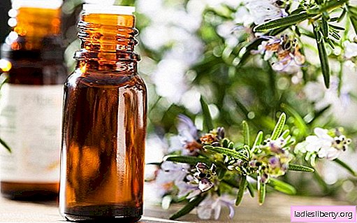 Rosemary oil - its beneficial properties and methods of application. How to apply rosemary essential oil for beauty and health.