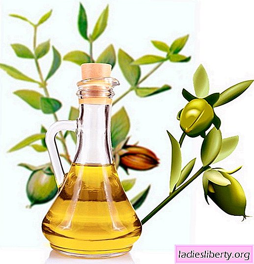 Óleo de jojoba - aplicação e propriedades. Como usar corretamente as propriedades benéficas do óleo de jojoba para o rosto e cabelo.