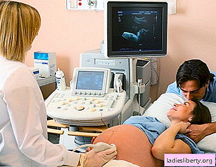 Uterus and cervix during pregnancy